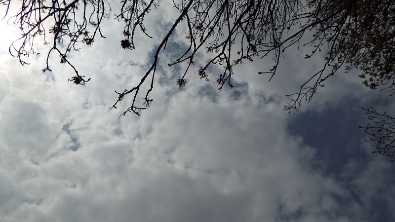 DSCF2328