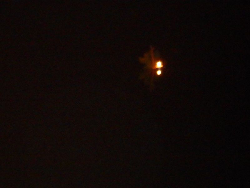 DSCN7598